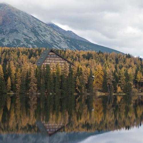 Magical tarn