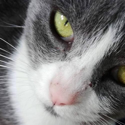 Photo #5061046