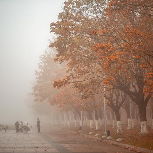 Фотография #5061084