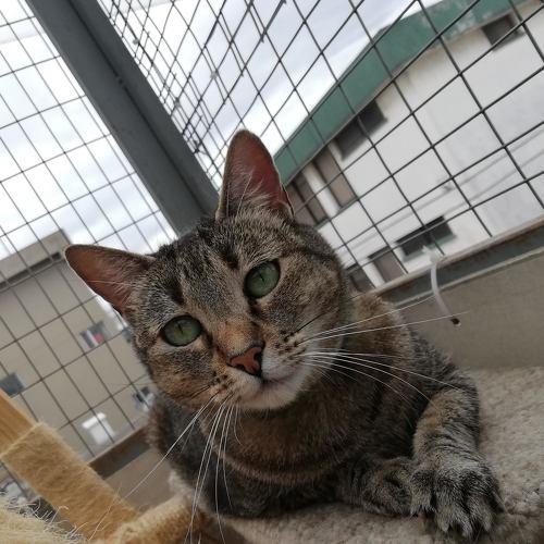 Photo #5061093