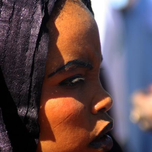 Photo #5061365