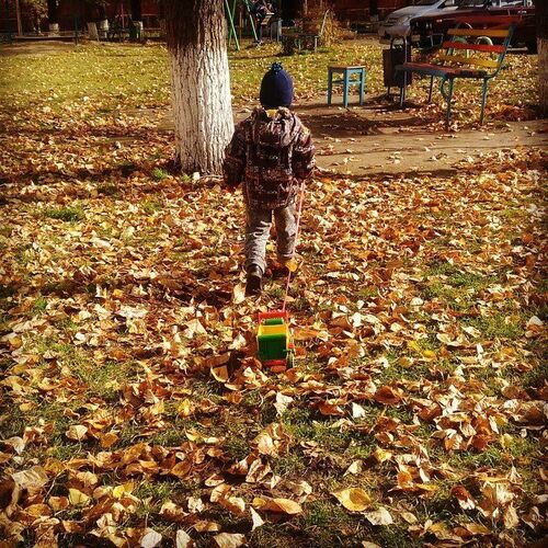 Photo #5061467