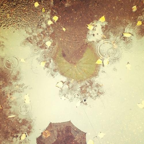 Photo #5061499