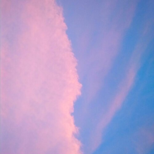 Photo #5061609