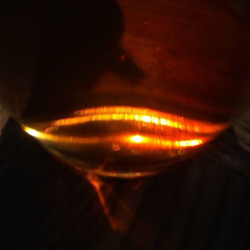 Photo #5061615