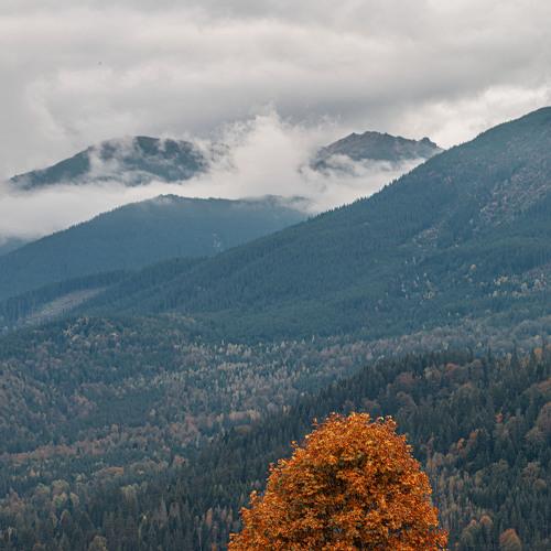 Photo #5061760