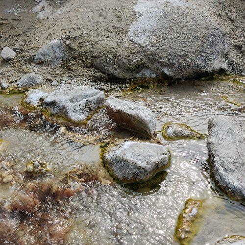 Photo #5061822