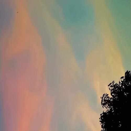 Lockdown Sky