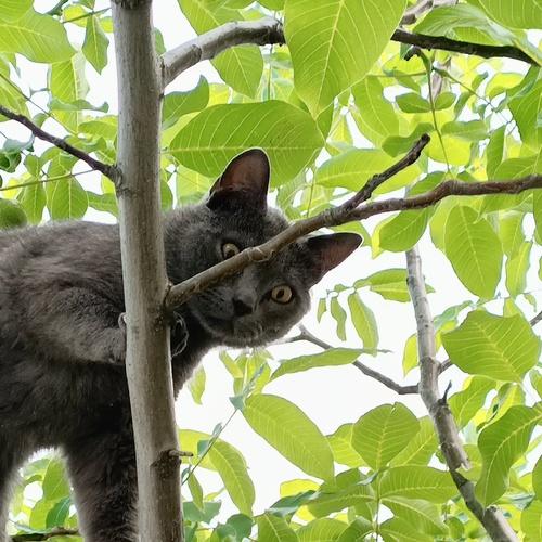 Photo #5061938