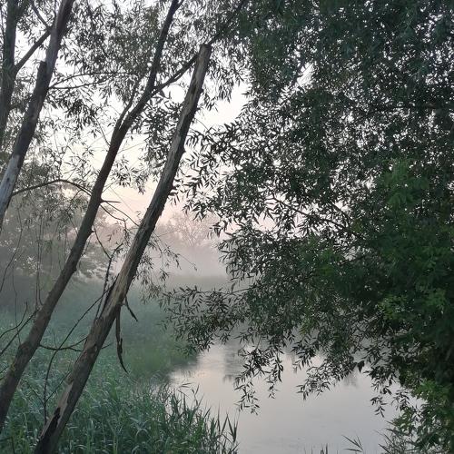 Photo #5062383