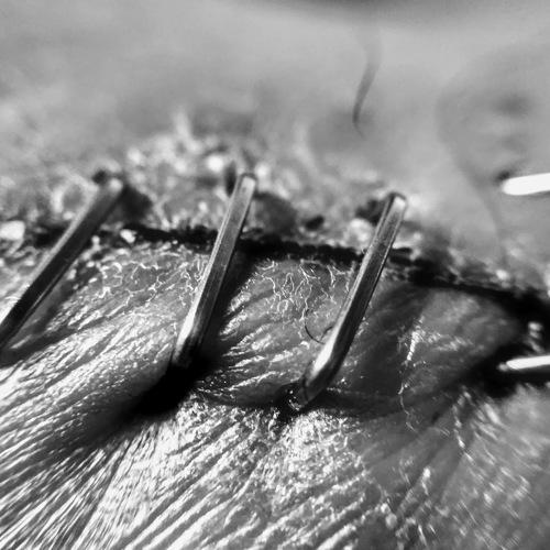 Фотография #5062501