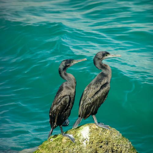 Photo #5062643