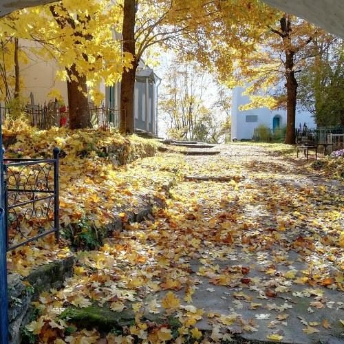 Photo #5062676