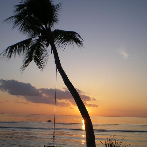 Photo #5062736