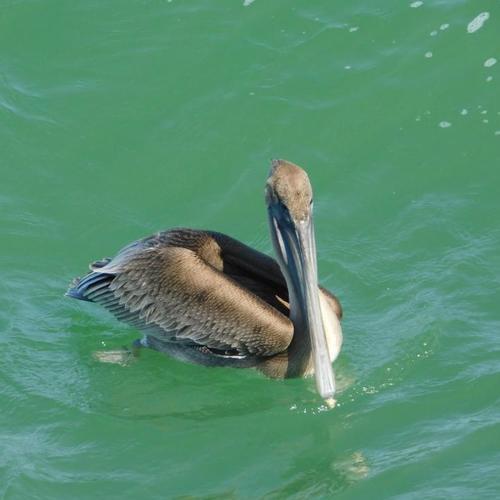 Photo #5062978