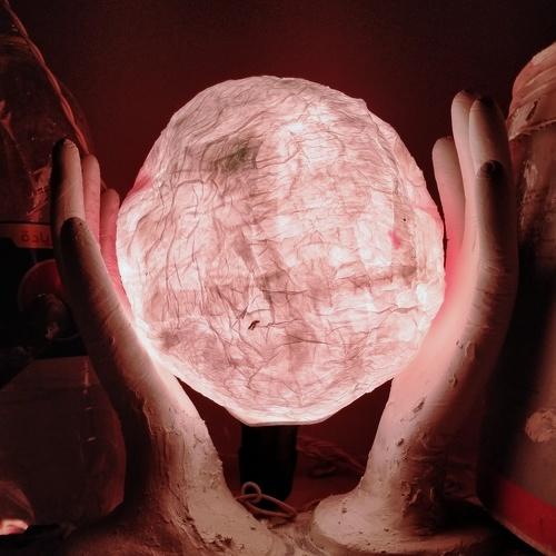 Photo #5063071