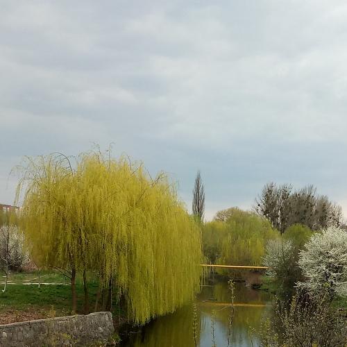 Photo #5063209