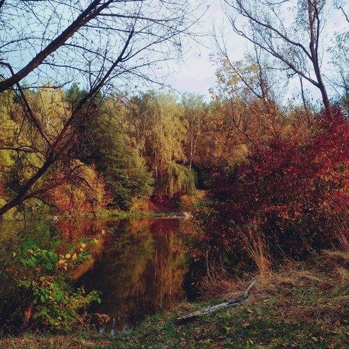 Fall colours near the lake