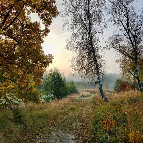 Сентябрьский рассвет