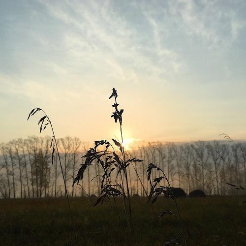 Photo #5064603