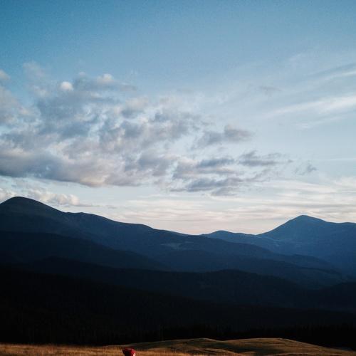 Photo #5064790