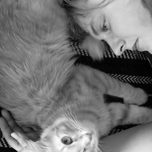 Photo #5064819