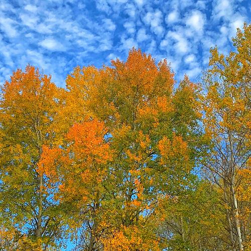 Photo #5064990