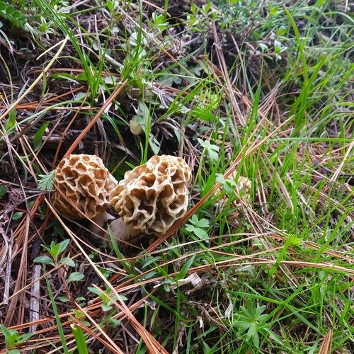 Photo #5065281