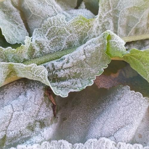 Photo #5065309