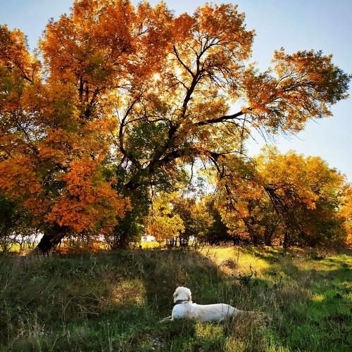 Photo #5065509