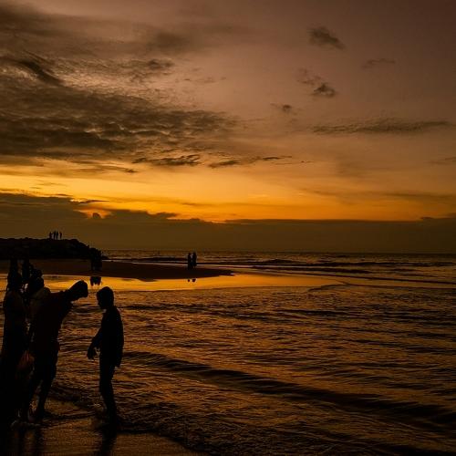 Photo #5065564