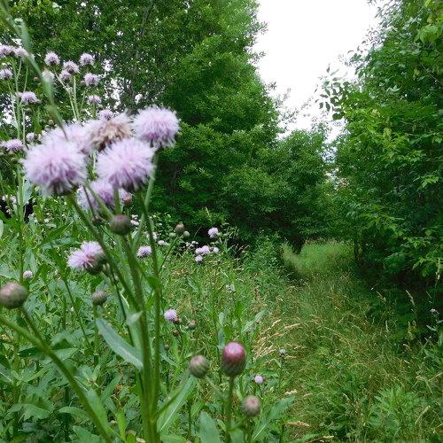 Photo #5066029