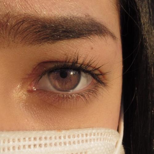 Photo #5066083