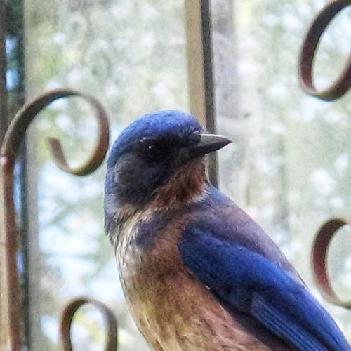 Photo #5066100