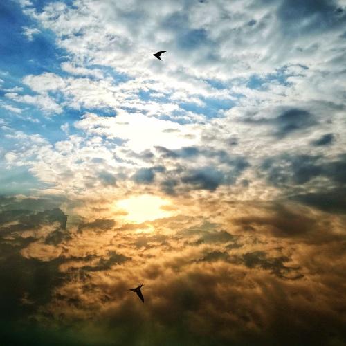 Photo #5066109