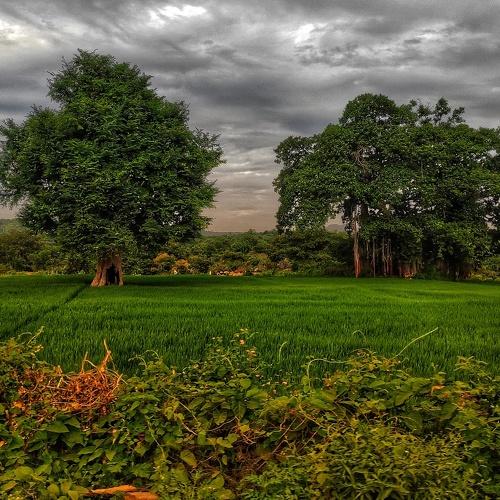 Photo #5066246