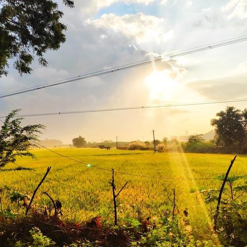 Photo #5066259