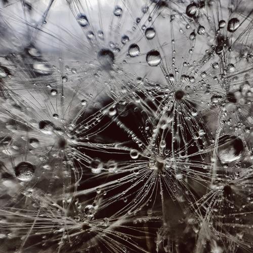Photo #5066353