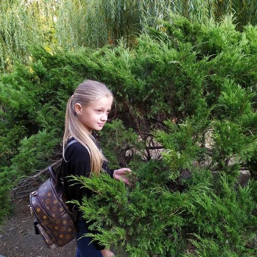 Photo #5066607