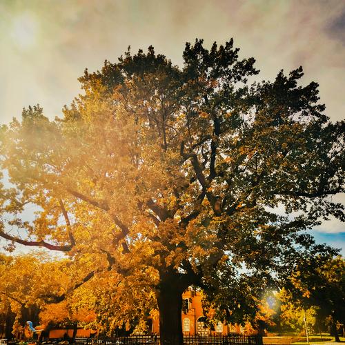 Photo #5066634