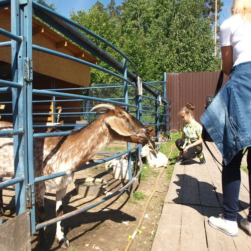 Photo #5066976