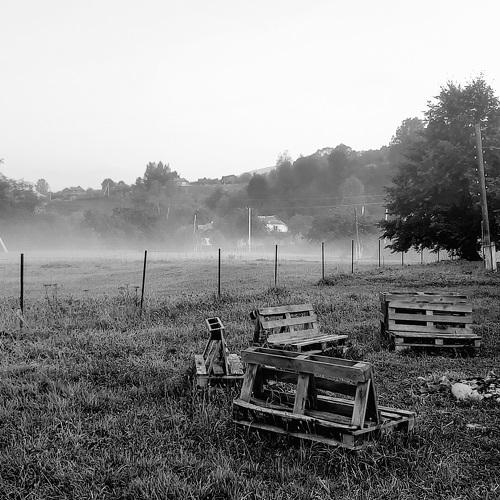 Photo #5067301