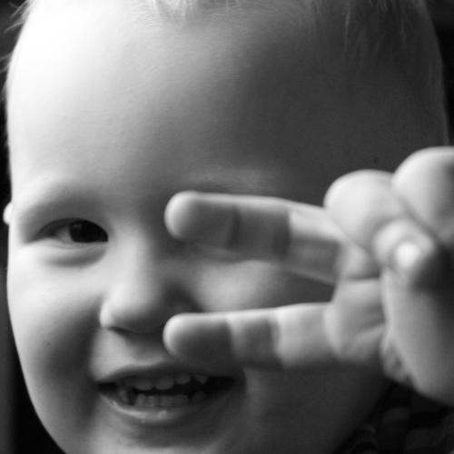 Photo #5067365