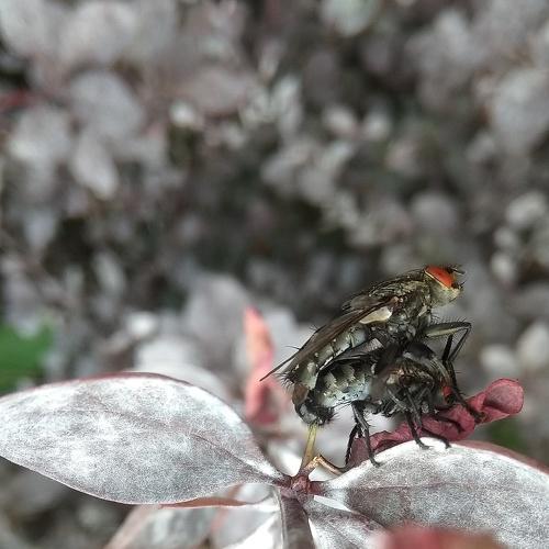 Photo #5067975