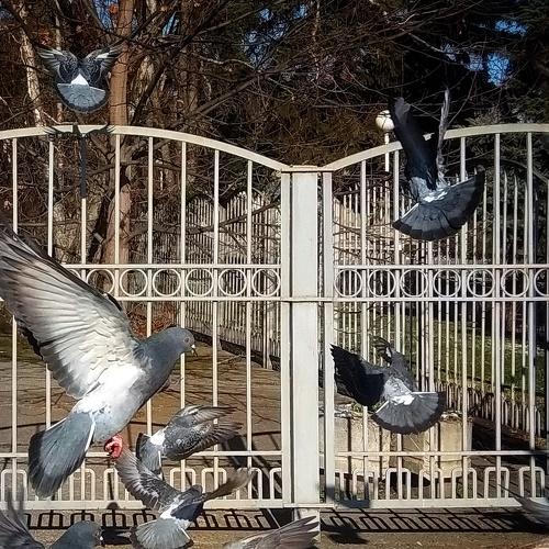 Photo #5068005
