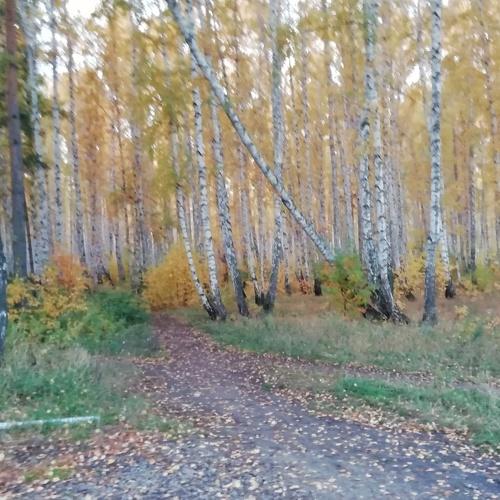 Photo #5068261