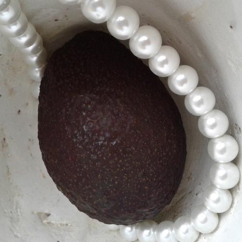 Photo #5068613