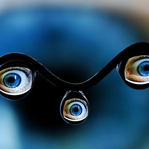 Photo #5068762
