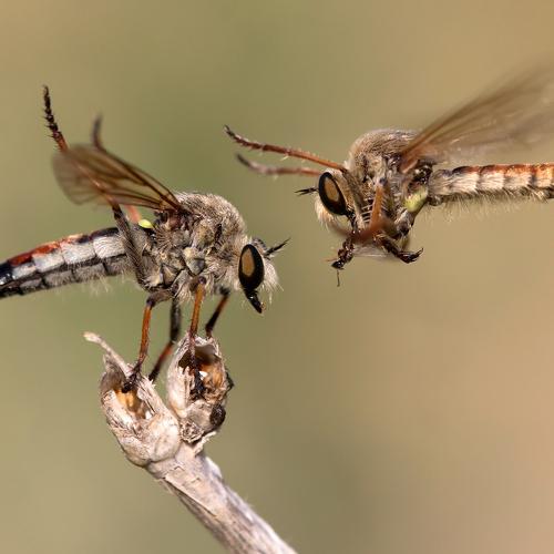 Photo #5069262