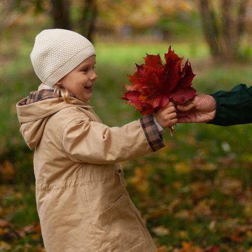 Photo #5069304
